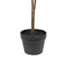 Beliani Planta artificial Árbol Limonero Beliani Planta artificial Árbol Limonero Verde