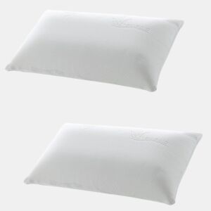 Almofadas Pack 2 viscoelásticas termoversíveis 90 cm