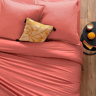 Rosa Rosa