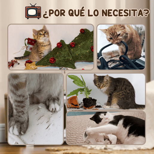 undefined undefined