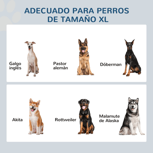PawHut Comedouro Elevado para Cães Comedouro para Cães com 2 Tigelas de Aço Inoxidável e Espaço de Armazenamento Oculto 60x30x41 cm Branco
