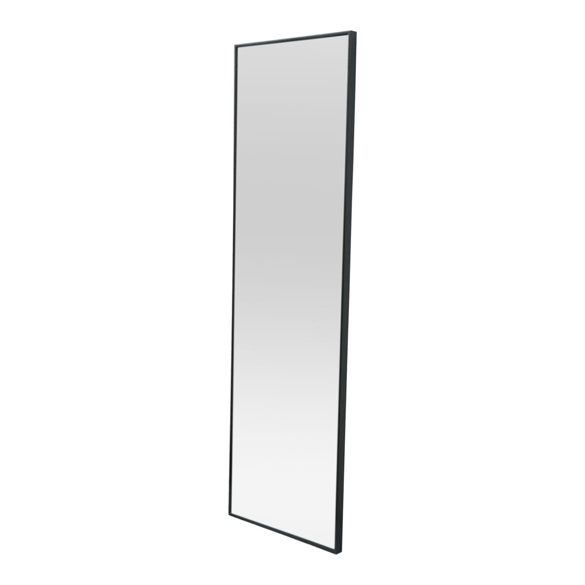 Espejo para puerta lesina con 2 ganchos aluminio 120x37cm - negro [en.casa]