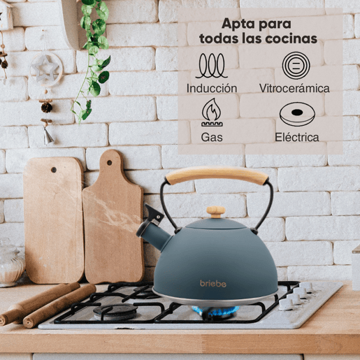 Briebe Nordic Chaleira de Indução com Apito, 2,3 L, Aço Inox, Vitrocerâmica, Gás, Cabo de Madeira, , Cinza