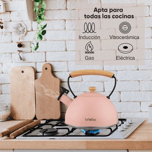 Briebe Pastel Chaleira de Indução com Apito, 2,3 L, Aço Inox, Retro, Vitrocerâmica, Gás, Cabo de Madeira, , Cor de rosa