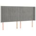 Cama box spring colchón y LED terciopelo - Rayas verticales 180x200 Cama box spring colchón y LED terciopelo - Rayas verticales 180x200 Gris Claro
