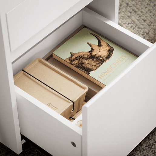 SoBuy FBT121-W Armário de arquivo para escritório em casa com 2 gavetas
