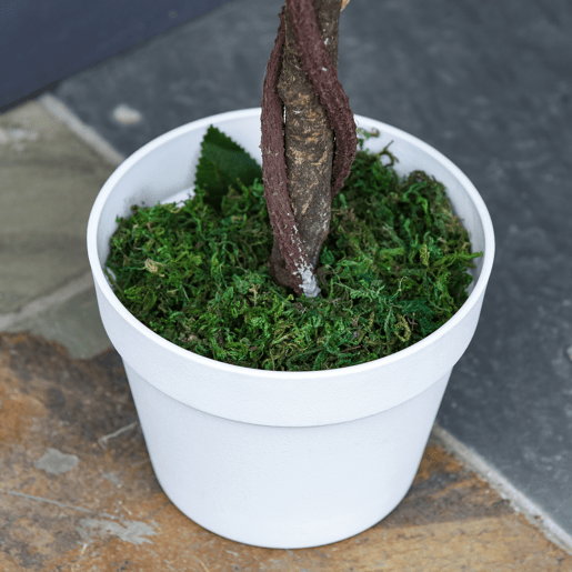 Outsunny Conjunto de 2 Plantas Artificiais Rosas Artificiais com 21 Flores e Vaso de Cimento Plantas Sintéticas para Decoração de Casa Sala Escritório Verde e Branco