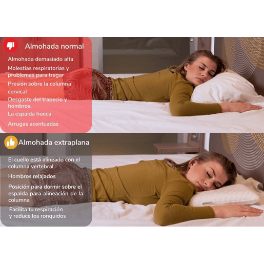Almofada Plana para Pessoas que Dormem de Barriga para Baixo S Tecido de Bambu Antiacaros e Capa de Bambu Extra