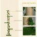Árbol para Gato Aglomerado de Madera, ABS, Yute PawHut Árbol para Gato Aglomerado de Madera, ABS, Yute PawHut Verde