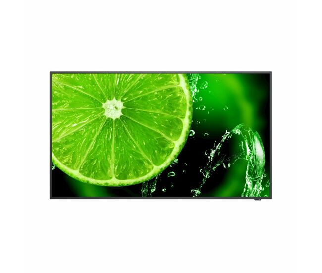 Monitor lcd nec 60005045 ips direct-led 42,5" 42,5"