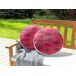 Beliani Cojín de jardín MEZZANO Beliani Cojín de jardín MEZZANO Fucsia