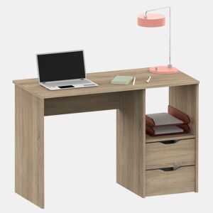 Briebe Prakt Escrivaninha, Mesa de Computador 76x115x50cm, 2 Gavetas, Escritório, Quarto Juvenil, , Madeira