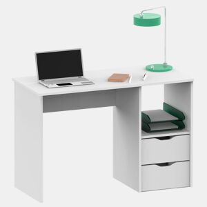 Briebe Prakt Escrivaninha, Mesa de Computador 76x115x50cm, 2 Gavetas, Escritório, Quarto Juvenil, , Branco