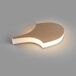 Aplique De Pared Metal Serie Serea Aplique De Pared Metal Serie Serea Dorado