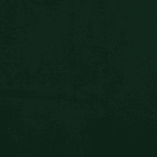 vidaXL Cadeiras de jantar 2 pcs veludo verde-escuro