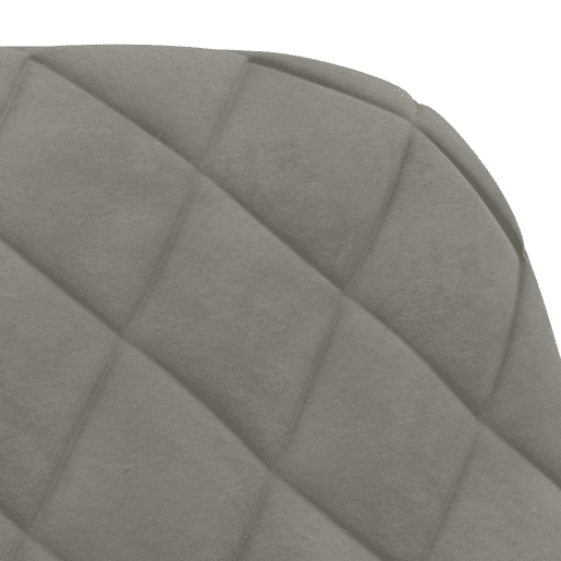 vidaXL Cadeiras de jantar 2 pcs veludo cinzento-claro vidaXL Cadeiras de jantar 2 pcs veludo cinzento-claro