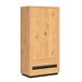 Armario 2 puertas 2 cajones con LED Glenn 100 Armario 2 puertas 2 cajones con LED Glenn 100 Negro/ Madera