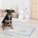 Empapadores para Perro Tela no Tejida PawHut Empapadores para Perro Tela no Tejida PawHut Azul