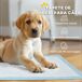 Empapadores para Perro Tela no Tejida PawHut Empapadores para Perro Tela no Tejida PawHut Azul