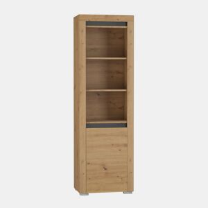 Estante 1 porta LED incluído Kasla Madeira e Antracite