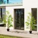 Bambús Artificiales PE, PP Outsunny, hogar - decoración Bambús Artificiales PE, PP Outsunny, hogar - decoración Verde