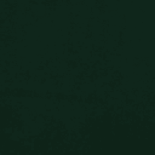 undefined undefined