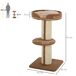 Árbol para Gato Aglomerado de Madera, Poliéster PawHut Árbol para Gato Aglomerado de Madera, Poliéster PawHut Marrón