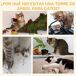 Árbol para Gato Aglomerado de Madera, Poliéster PawHut Árbol para Gato Aglomerado de Madera, Poliéster PawHut Gris