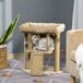 Árbol para Gato Aglomerado de Madera, Felpa PawHut Árbol para Gato Aglomerado de Madera, Felpa PawHut Marrón