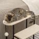Escalera para Perro PawHut, mascotas - accesorios para gatos Escalera para Perro PawHut, mascotas - accesorios para gatos Crudo