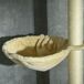 Árbol para Gato Aglomerado de Madera, Felpa PawHut Árbol para Gato Aglomerado de Madera, Felpa PawHut Crudo