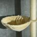 Árbol para Gato Aglomerado de Madera, Felpa PawHut Árbol para Gato Aglomerado de Madera, Felpa PawHut Crudo