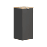 Armários Laterais CAPRI SCAB35 1D 35x35x80 Preto