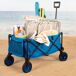 Aktive Carro playa plegable Aktive Carro playa plegable Azul