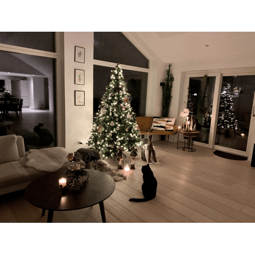 Árvores de Natal pré-iluminadas 180 cm Verde escuro PALOMAR