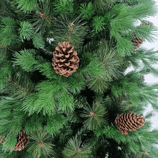 Árvore de Natal com pinhas verdes de Ottawa Dayron