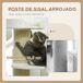 Árbol para Gato Aglomerado de Madera, Poliéster PawHut Árbol para Gato Aglomerado de Madera, Poliéster PawHut Crudo