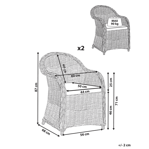 Conjunto de 2 cadeiras de jardim em rattan natural SUSUA II