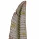 Figura Decorativa Figura Decorativa Multicolor