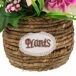 Flores Decorativas Flores Decorativas Multicolor