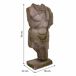 Busto Busto Multicolor