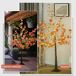 Árbol con Luce PP HOMCOM, hogar - decoración Árbol con Luce PP HOMCOM, hogar - decoración Naranja