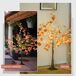 Árbol con Luce PP HOMCOM, hogar - decoración Árbol con Luce PP HOMCOM, hogar - decoración Naranja