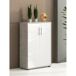 Armário multiuso com 2 portas com efeito madeira 78 Armário multiuso com 2 portas com efeito madeira 78 Gris