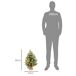 Árbol de Navidad Plástico, Metal HOMCOM, hogar - decoración Árbol de Navidad Plástico, Metal HOMCOM, hogar - decoración Verde