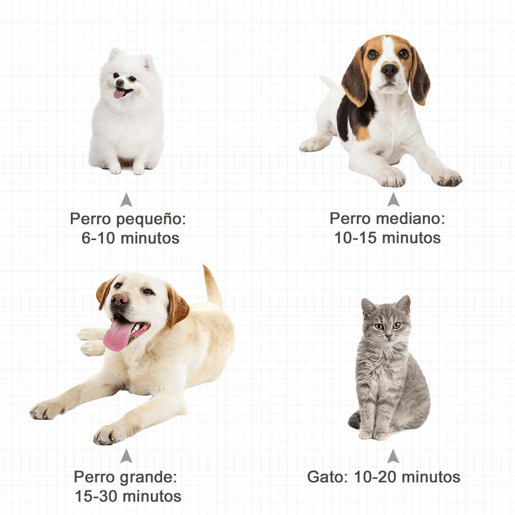 PawHut Secado de Pelo para Cães 2800W Secador de Pelo para Animais de Estimação com Temperatura e Velocidade Ajustável 3 Bicos Tubo Flexível 2,5m e Alça de Transporte 40x16x20cm Preto
