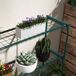 Estantería para Planta Acero Outsunny Estantería para Planta Acero Outsunny Verde