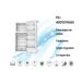 Frigorifico Dos Puertas Infiniton FG-420TD76XES, 388 l Frigorifico Dos Puertas Infiniton FG-420TD76XES, 388 l Inox