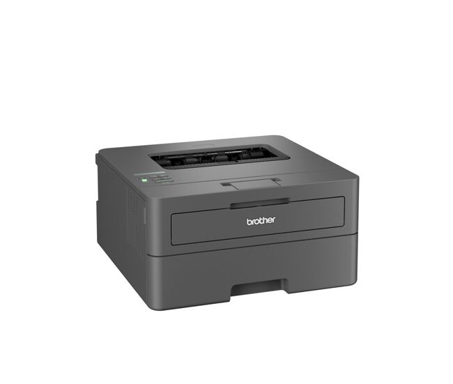 Impresora láser brother hll2445dwre1