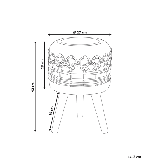 Vaso alto para plantas CYRTOMIUM 27 cm Castanho claro